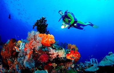 В Египте запретили заниматься дайвингом с плавательных средств