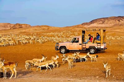 В ОАЭ открылся горный заповедник
